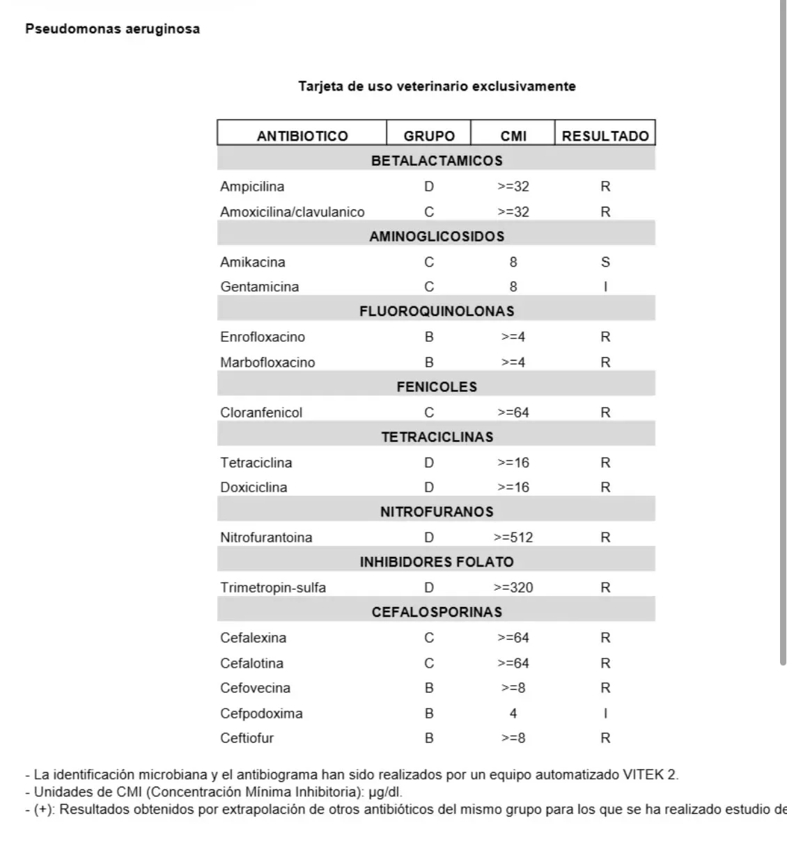 Caso Clínico Catuxa - Otitis crónica en perros